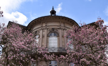 Raum für Kunst: Bürgerstiftung der Stadt Landau vermietet Atelierwohnung im Dachgeschoss der Städtischen Galerie Villa Streccius zur Förderung von Landauer Künstlerinnen und Künstlern