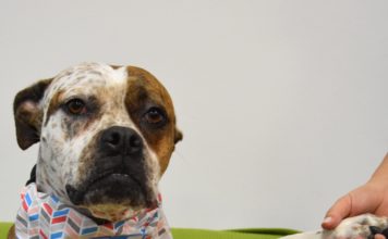 Neues ausprobieren und sich für das Gemeinwohl engagieren: Noch zwei „Bufdi“-Stellen bei der Jugendförderung der Stadt Landau ab 1. September zu besetzen