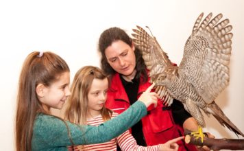 Vielfalt bewahren – Nachhaltigkeit gestalten: Zooschule Landau lädt im Jubiläumsjahr zu Festen und Veranstaltungen ein