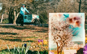 Kooperation mit Landauer Fahrradlogistiker LieferKnecht: Pfälzer Mandelboxen werden im Stadtgebiet per Lastenfahrrad ausgeliefert