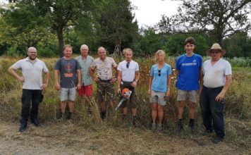 Neue Wege und Plätze für Edenkoben