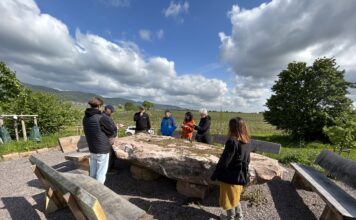 Klima-Arborteum – Gästeführerinnen und Gästeführer informieren sich