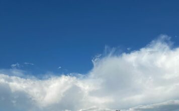 LCO Edenkoben: Johanna Rheude und Julian Weis Rheinland-Pfalz-Meister