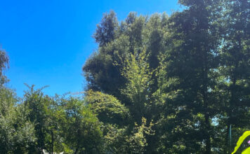 Ferienendspurt in Landau: Städtische Jugendförderung zieht trotz regenreichen Starts positives Zwischenfazit zum Sommerferienprogramm – Wenige Plätze bei Workshops der Ferienkarte noch frei