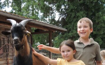 Zoo Landau: Tierschutz – Kinder lernen respektvollen und achtsamen Umgang mit Tieren: