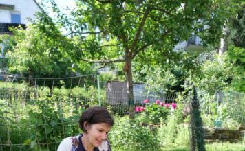 Kindertagespflegepersonen gesucht – auch als Zusammenschluss von zwei Tagespflegepersonen möglich! Freie Plätze im Qualifizierungskurs ab November