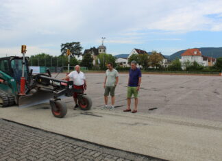 Sanierung des Kunstrasenplatzes und des DFB-Minispielfeldes haben begonnen