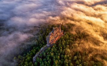 Heimatfotos-Ausstellung im Kreishaus: Eine mystische Reise durch den Pfälzerwald