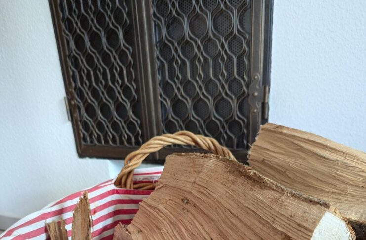 „Ofenführerschein“ geht weiter: Landkreis SÜW vergibt Plätze für Online-Schulung – Auch Erfahrene können noch was lernen