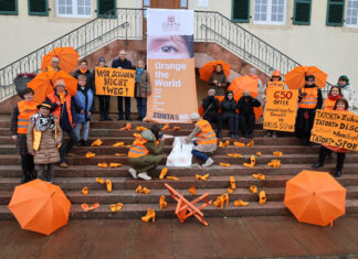 Mit gehisster Flagge sichtbares Zeichen gegen Gewalt an Frauen und Kindern gesetzt – Weitere Veranstaltungen rund um Aktionstag
