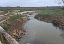 Kaltenbach in Flemlingen – Renaturierung abgeschlossen