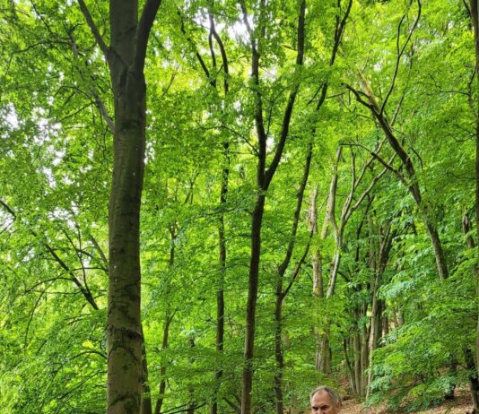 Wandern mit dem Landrat: Landkreis SÜW lädt in Kooperation mit Pfälzerwald-Verein zu „Wunsch-Tour“ am 24. Oktober in Klingenmünster